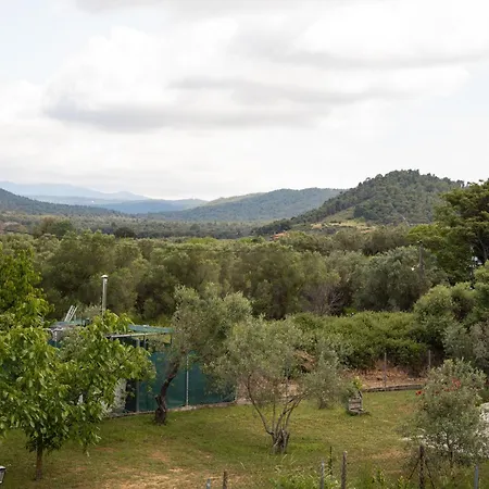 Vot 오르모스 파나기아스